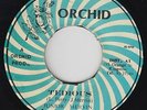 Roots Reggae 45 - Junior Murvin - Tedious - Orchid - VG+ mp3
