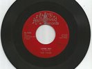 Rare 45 Orig.R&B/Doowop Hollywood-1026 Twigs 