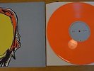 Format Interventions Lullabies Vinyl LP Dog Problems Fun Aim Ignite Nate Ruess