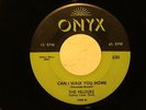 THE VELOURS Can I Walk You Home Remember ONYX hear soundclip