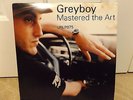 GREYBOY - MASTERED THE ART (VINYL 2LP)  2001   RARE   DAVE PIKE + ELGIN PARK ?