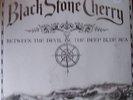 BLACK STONE CHERRY : Between The Devil & The Deep Blue Sea ( LP neuf)