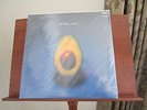 Pearl Jam (Self-Titled) (aka Avocado) 2lp Vinyl SEALED