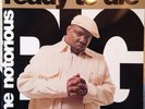 Ready To Die - The Debut Album From Biggie Smalls - 2 LP Set 12