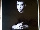 LP VINILO NICK CAVE & THE BAD SEEDS THE FIRSTBORN IS DEAD NEW AND SEALED VINYL