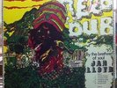 '75 MICRON DUB/REGGAE LP JAH LLOYD HERB DUB ?