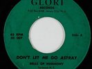 Black Gospel 45 BELLS OF HARMONY Don't Let Me Go Astray HEAR