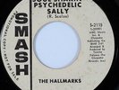 Rare Garage 45 THE HALLMARKS 
