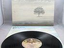 GENESIS - 