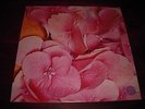 STILL LIFE S/T 1971 ORIG UK SWIRL VERTIGO PSYCH PROG MONSTER EX+ CONDITION