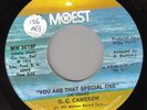 Northern Soul - G C Cameron - You Are That Special One ** LISTEN **
