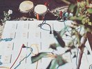 THE BEAT OF THE EARTH This Record Is An Artistic Statement NEW ROCK LP
