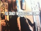 The Dandy Warhols - Come Down LP - 1997 Tim/Kerr ?– TK167-1 Clear Vinyl 2LP NM