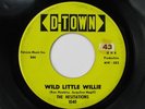 HESITATIONS Wild Little Willie D-TOWN Rare Detroit Rockabilly Garage 45 HEAR