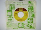 MARVIN GAYE & TAMMI TERRELL California Soul TAMLA Northern Soul 45 HEAR