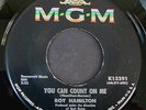 45 RPM NORTHERN ROY HAMILTON MGM 13291