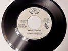 MASON PROFFIT Two Hangmen/Sweet Lady Love 1970 Happy Tiger 45 country psych WLP