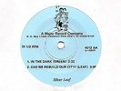 Silver Leaf 45 I Know You - Rare Ohio Private Synth Wave - HEAR