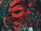 Warpaint - The Fool Vinyl Record [2LP]