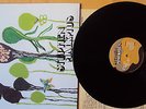 Stephen Malkmus LP Face the Truth Vinyl 2005 Pavement Pixies Beck Sonic Bowie