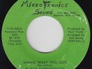 Funk Disco/Sweet Soul 45 - Black Experiences - Shake What You Got - Microtronics