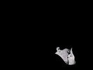 BOB MOSES - DAYS GONE BY NEW VINYL