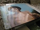 FLEETWOOD MAC   MR. WONDERFUL   RARE UK MONO BLUE HORIZON LP EX CONDITION 1968