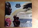 Miles Davis: Bitches Brew (180g Vinyl MFSL)