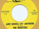 ROCK / GARAGE 45 - THE ROOSTERS 