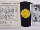 Rare The Amazing Zion Travelers 