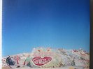 THE JUNGLE GIANTS 'Speakerzoid' Gatefold Vinyl LP (Oz Indie) NEW & SEALED