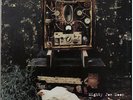 Grant Lee Buffalo Mighty Joe Moon vinyl LP album record UK 828541-1