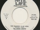 NIGHT PEOPLE on Nite Life —SHADOW IS MY SOUL— garage rock fuzz 45 | DJ | LISTEN