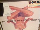 ARAB STRAP Philophobia Chem21 records Excellent Condition