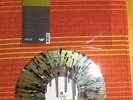Chuck Ragan split w/ Anderson Family 9