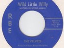 THE VELVETS-wild little willy  RBE 107   RARE & GREAT TEXAS ROCKER 