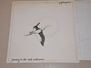 PYTHAGORAS -  journey to the vast unknown Dutch private prog HLP 500.002