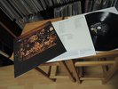THE CARDIGANS LONG GONE BEFORE DAYLIGHT 2003 VINYL LP HARD TO FIND
