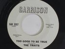 TRAITS: Too Good To Be True / Gotta Keep My Cool 45 (dj) rare Soul