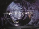 A Perfect Circle(7