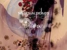 Silversun Pickups Swoon 2xLP vinyl record sealed hum sea wolf