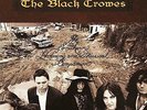 The Black Crowes: The Southern Harmony And Musical Companion (2LPs)