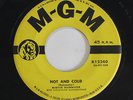 MARVIN RAINWATER: Hot And Cold / Mr. Blues 45 rare Rockabilly