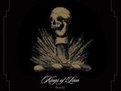 Rarely [VINYL] Kings of Leon Vinyl