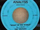 GARAGE VECTORS WHAT IN THE WORLD/BEEN A DAY OR TWO JOE KELLEY SHADOWS OF KNIGHT