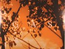 GAS Königsforst Konigsforst Vinyl 2XLP WOLFGANG VOIGT/Blei/ Mille Plateaux