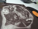 RIFF-RAFF (1ST ALBUM)..STUNNING Mint 1ST PRESS...RARE STUFF