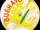AL CAMPBELL /BUSHAY 12
