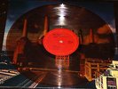 Pink Floyd ?– Animals LP COLOR   EDITION TOP MINT