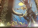IRON MAIDEN - FEAR OF THE DARK - LP